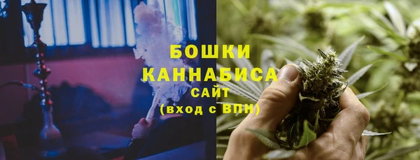 apvp Бородино