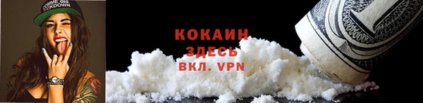 apvp Бородино