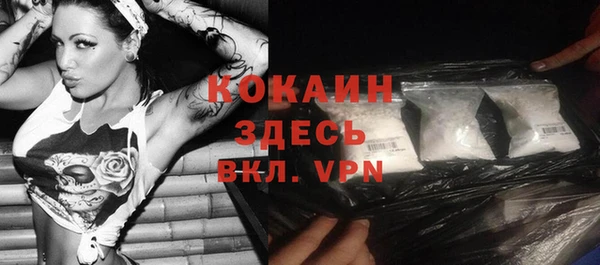 молекула духа Богородск